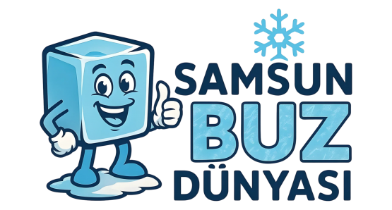 Samsun Buz Dünyası
